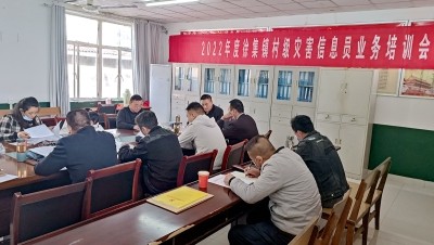 裕安区徐集镇精心组织开展村级灾害信息员业务培训